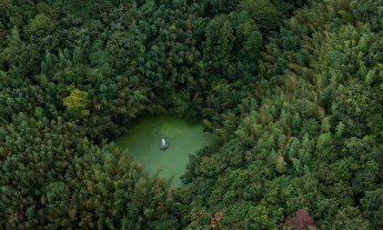 The Art of Stillness in the Japanese Wilderness. Photo: Iwan Baan
